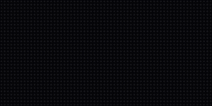 bee-zigzag
